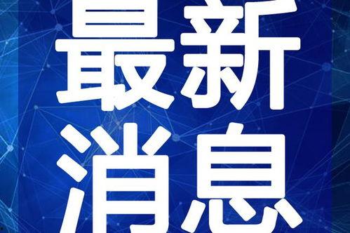 盈江新闻爆料视频最新一期,揭秘神秘事件背后的真相